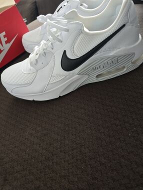 Nike Men’s White Sneakers with Black Swoosh